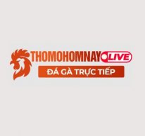 thomohomnaylive