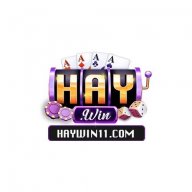 haywin11com1