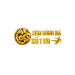 socolivezcc